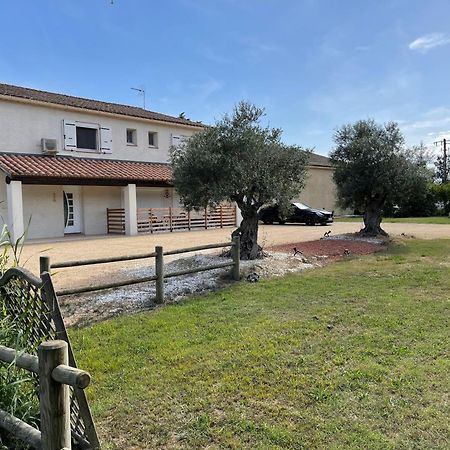Studio 40M2 Avec Terrasse Le Mas De Lauriane Saintes-Maries-de-la-Mer Buitenkant foto
