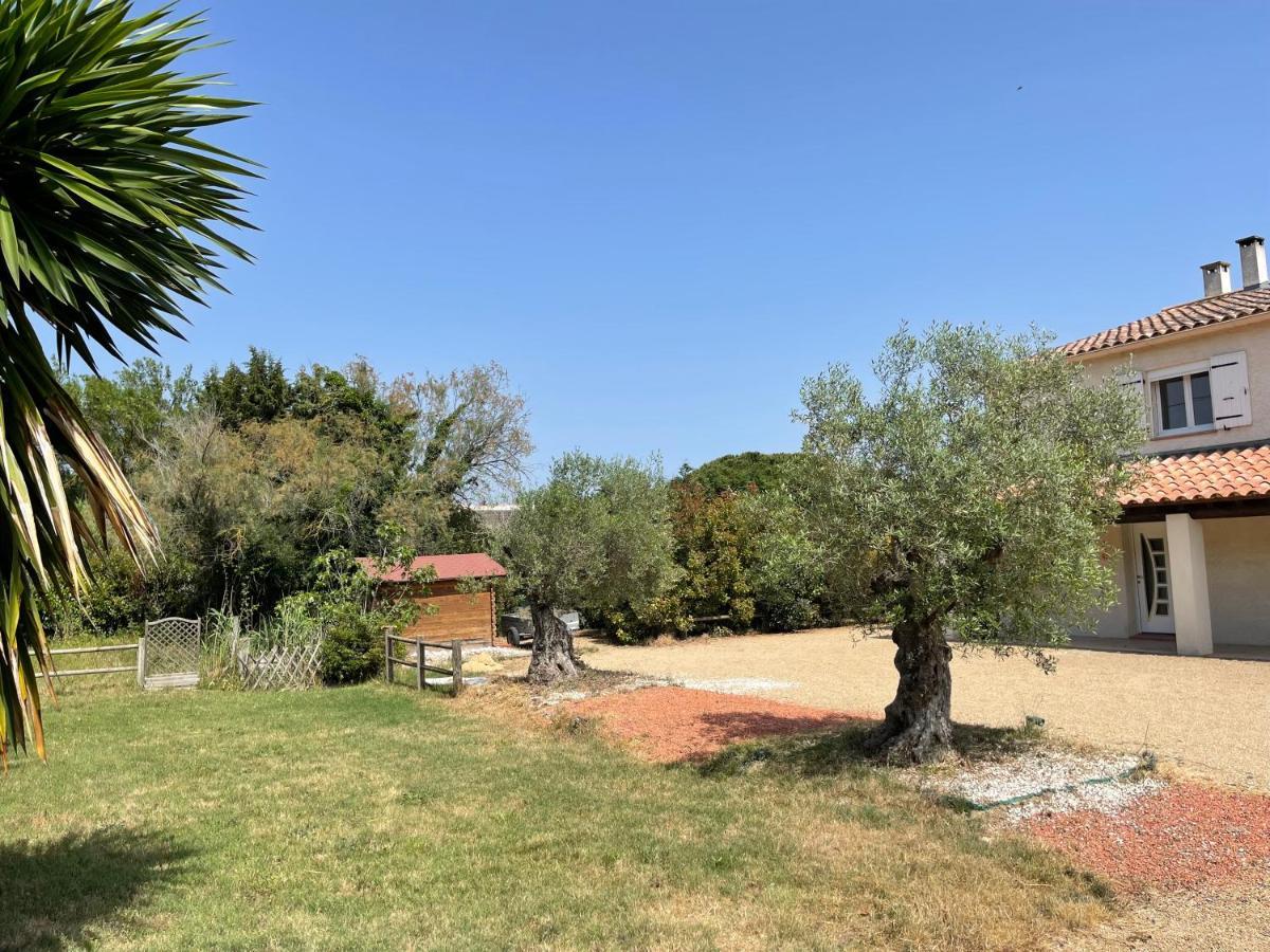 Studio 40M2 Avec Terrasse Le Mas De Lauriane Saintes-Maries-de-la-Mer Buitenkant foto