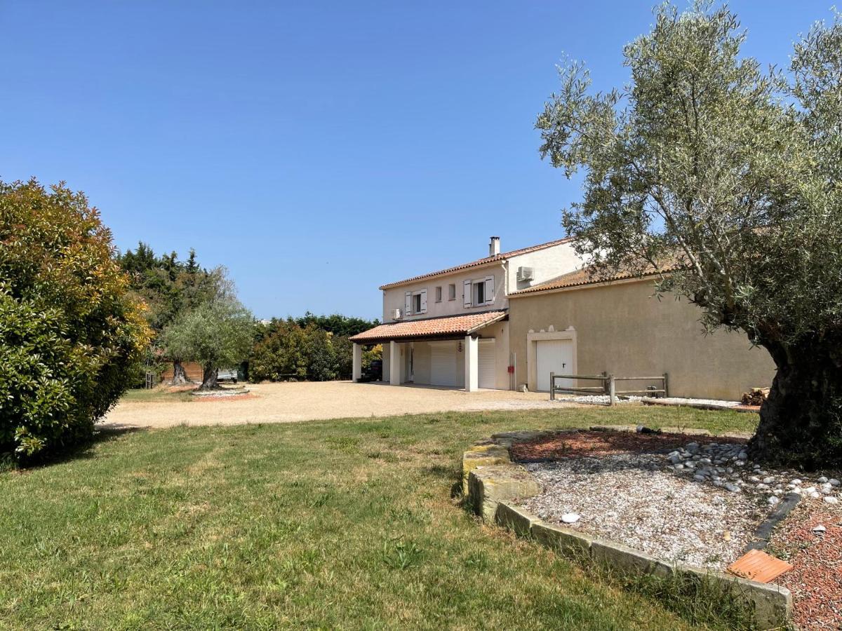 Studio 40M2 Avec Terrasse Le Mas De Lauriane Saintes-Maries-de-la-Mer Buitenkant foto