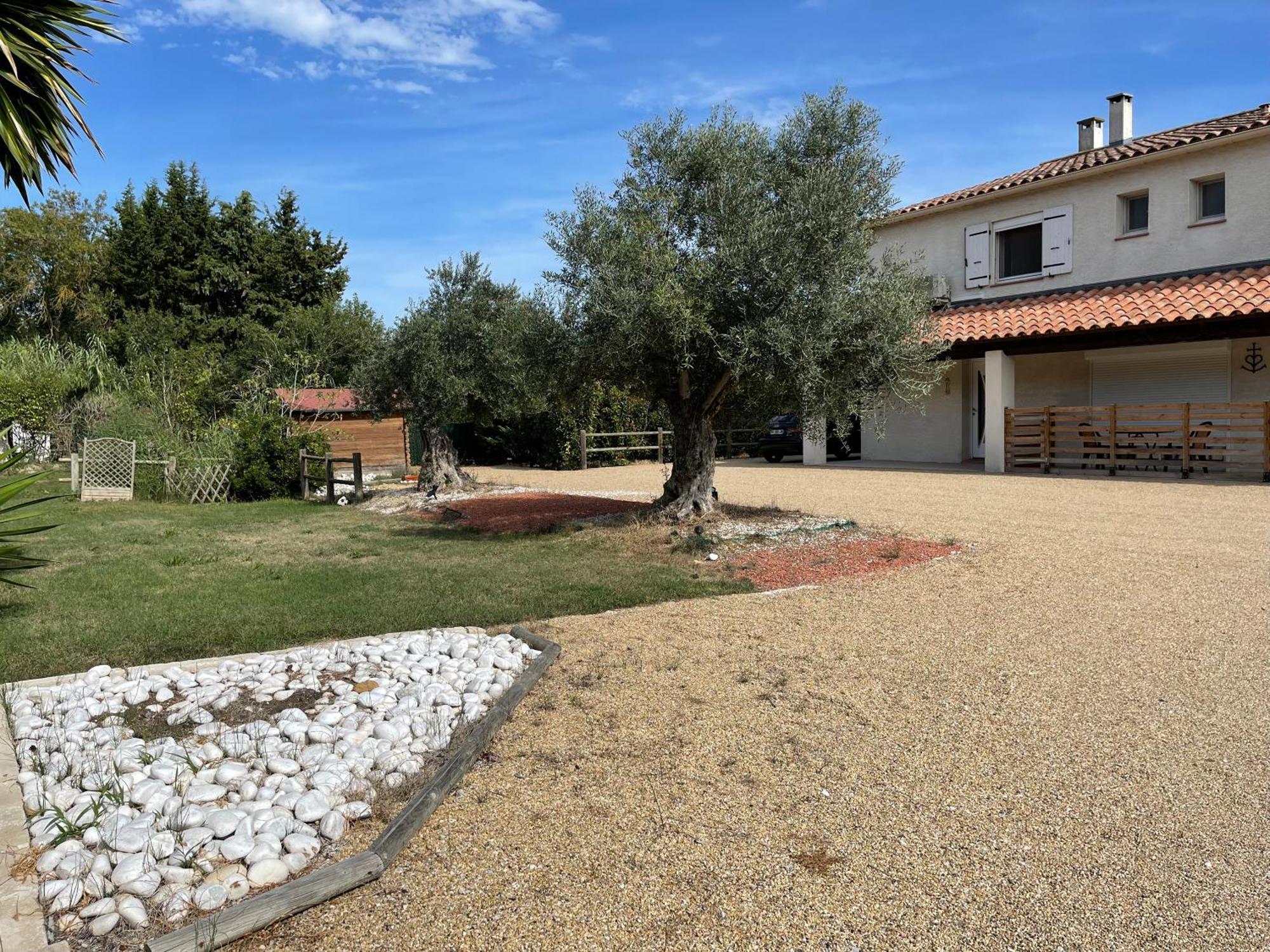 Studio 40M2 Avec Terrasse Le Mas De Lauriane Saintes-Maries-de-la-Mer Buitenkant foto
